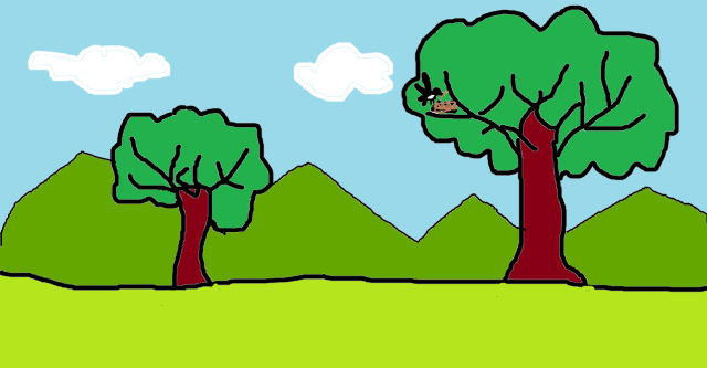 Ծիծեռնակը բույն է շինում